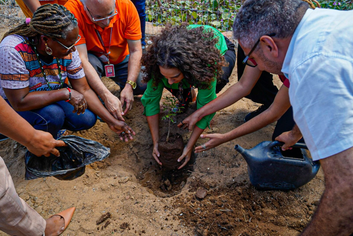 Rosa Amorim protocola projetos de lei sobre prevenção aos efeitos da crise climática