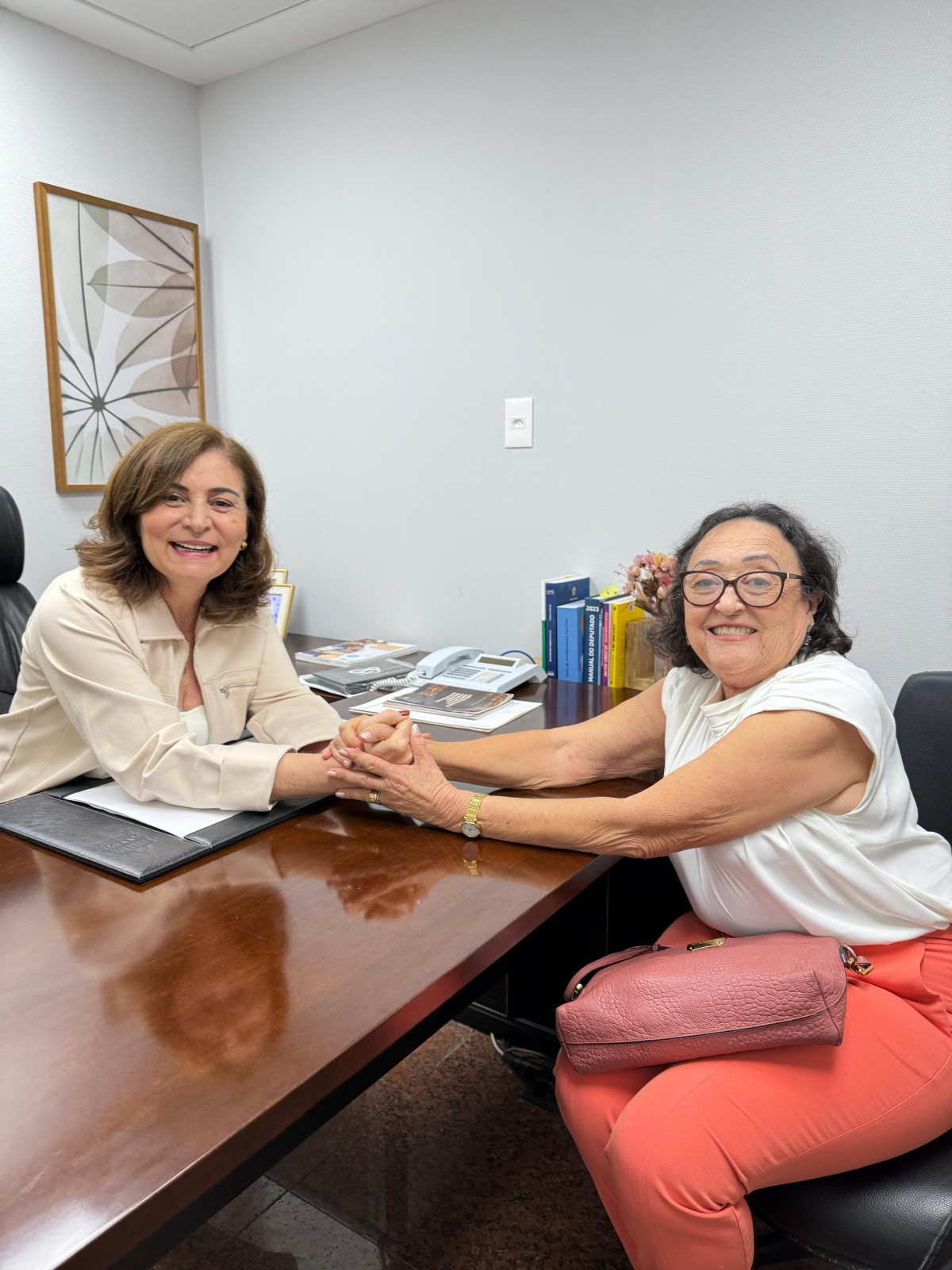 Ex-prefeita de João Alfredo, Maria Sebastiana declara apoio a Simone Santana