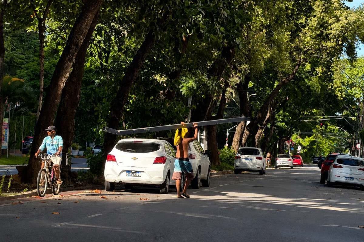 Ação integrada da Prefeitura do Recife impede comercialização de poste furtado do patrimônio público